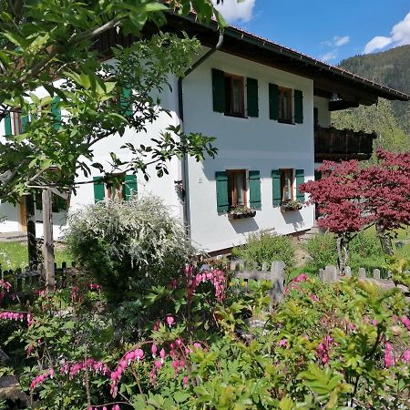 Ferienwohnungen Asterbach Gosau Exterior photo
